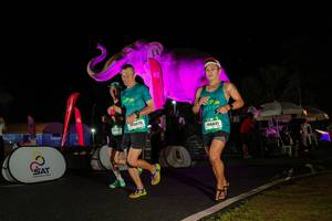 BIB: 
                            <button type="button" onclick="openModal(26544019)" class="btn btn-primary btn-sm float-right btn-popup" data-toggle="modal" data-target=".modal-high-quality">
                        <i class="fas fa-shopping-cart"></i> Add to Cart
                    </button>
                                            <button type="button" onclick="isThisMe(26544019, true)" class="btn btn-success btn-sm float-right btn-popup btn-isme hidden" data-toggle="tooltip" data-placement="bottom" title="นี่คือรูปของคุณใช่ไหม คลิกที่นี่เพื่อเอาเข้าอัลบั้ม">
                        <i class="fas fa-plus"></i> Add to album
                    </button>
                    <button type="button" onclick="isThisMe(26544019, false)" class="btn btn-warning btn-sm float-right btn-popup btn-isnotme hidden">
                        <i class="fas fa-ban"></i> Remove from album
                    </button>